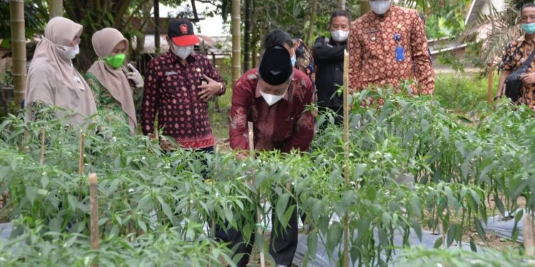 Abdullah Sani Bagi Sembako Saat Kunjungi Kawasan Pangan Lestari