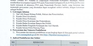 Pendaftaran Seleksi Terbuka Jabatan Pimpinan Tinggi Pratama Essellon II Kabupaten Merangin Yang Kosong Resmi Dibuka