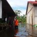 1.000 Rumah Warga Sanggau Kalimantan Barat di 5 Kecamatan Terendam Banjir