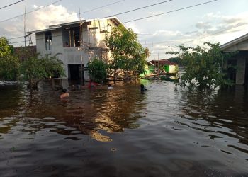 Sebanyak Enam Kecamatan di Kapuas Hulu Terdampak Banjir