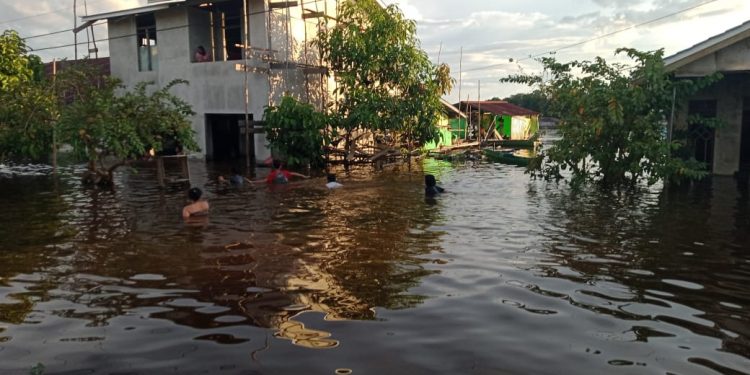 Sebanyak Enam Kecamatan di Kapuas Hulu Terdampak Banjir