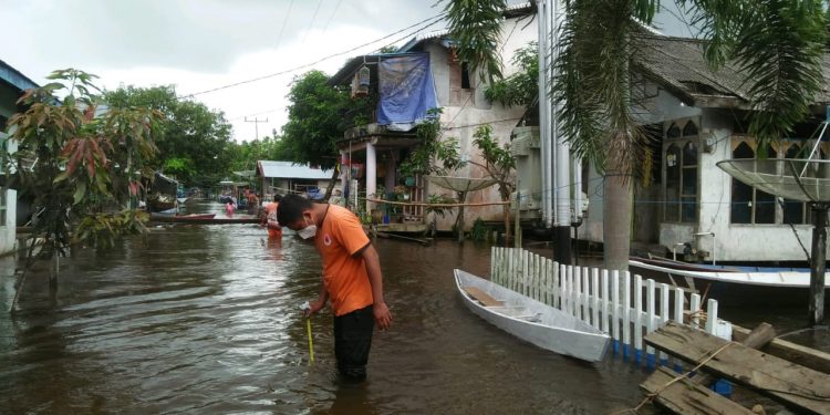 Sebanyak 2.208 Rumah Warga di Tujuh Kecamatan Terendam Banjir Ketapang, Kalimantan Barat
