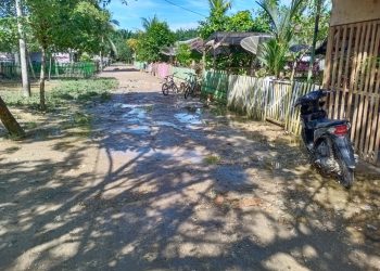 Banjir Kabupaten Aceh Timur Berangsur Surut 