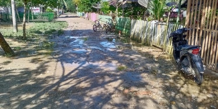 Banjir Kabupaten Aceh Timur Berangsur Surut 