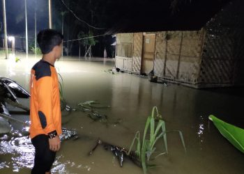 Lahan Sawah 45 Ha Terdampak Banjir di Kabupaten Batu Bara 