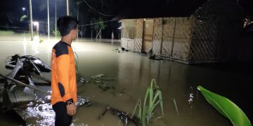 Lahan Sawah 45 Ha Terdampak Banjir di Kabupaten Batu Bara 