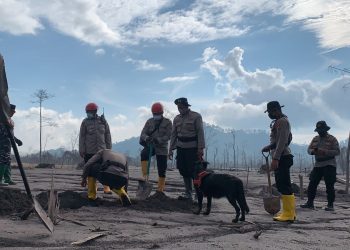 Tim Gabungan Temukan Total 45 Korban Jiwa Erupsi Gunung Semeru 