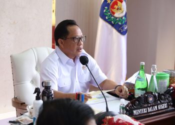 Mendagri Rilis Update Data Realisasi Pendapatan dan Belanja Pemda 
