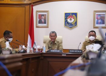 Kemendagri Dorong Pemda Lakukan Validasi TPP ASN 2022