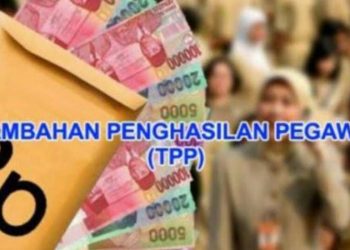 TPP ASN Merangin Bulan Oktober 2021 Yang Dibayar