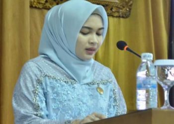 DPRD Batanghari Soroti Pilkades Serentak Belum Maksimal
