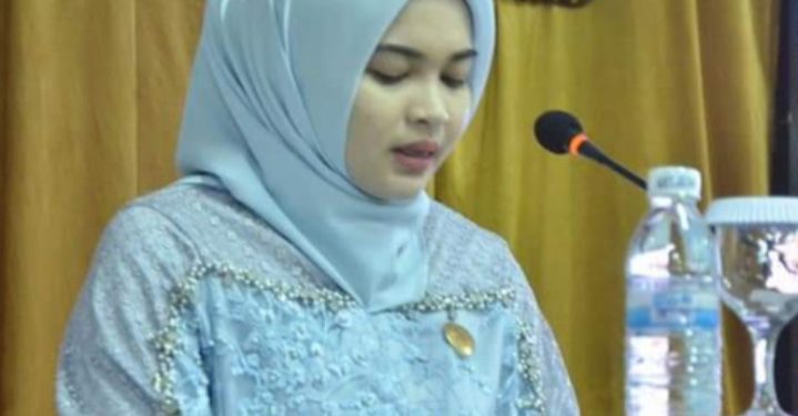 DPRD Batanghari Soroti Pilkades Serentak Belum Maksimal