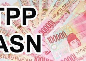 TPP ASN Merangin Tahun 2022 Dalam Proses Di Organisasi Setda Merangin