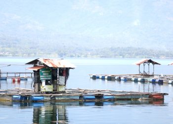 KPK Kawal Upaya Penyelamatan Danau Singkarak