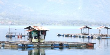 KPK Kawal Upaya Penyelamatan Danau Singkarak