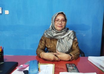 Percepatan Penurunan Stunting di Daerah, DPPKB Merangin Terus Gelar Sosialisasi 