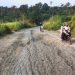 Perbaikan Jalan Rusak Dari Desa Salam Buku sampai Desa Rantau Alai Menunggu Proses Tender