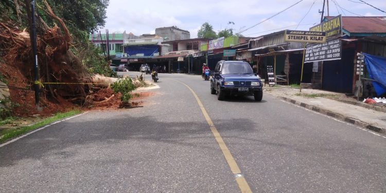 Setelah dibersihkan, Jalan Lintas Sumatera di Tikungan Bukit Tiung Kembali Bisa dilewati Kendaraan