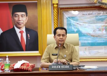 Percepat Realisasi APBD, Kemendagri Minta Pemda Rutin Gelar Rakor Monev