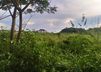 KPK Minta Pemkab Kukar Amankan Aset Tanah Senilai Rp69 Miliar