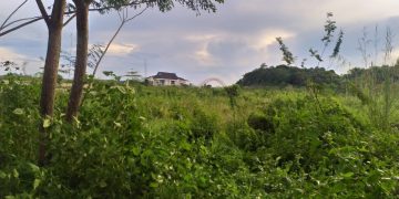 KPK Minta Pemkab Kukar Amankan Aset Tanah Senilai Rp69 Miliar