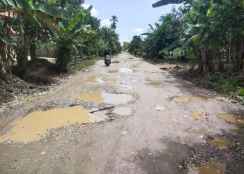 Kondisi Jalan Dari Desa Salam Buku Sampai Pulau Baru Semakin Rusak, Masyarakat Minta Segera Diperbaiki