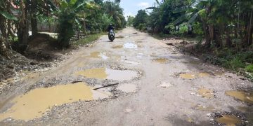 Kondisi Jalan Dari Desa Salam Buku Sampai Pulau Baru Semakin Rusak, Masyarakat Minta Segera Diperbaiki