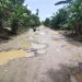 Kondisi Jalan Dari Desa Salam Buku Sampai Pulau Baru Semakin Rusak, Masyarakat Minta Segera Diperbaiki