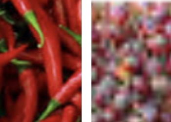 Harga Cabe Merah dan Rawit  di Merangin Melambung Tinggi, TBS Sawit Merosot Tajam