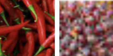 Harga Cabe Merah dan Rawit  di Merangin Melambung Tinggi, TBS Sawit Merosot Tajam