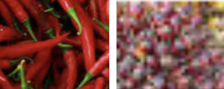 Harga Cabe Merah dan Rawit  di Merangin Melambung Tinggi, TBS Sawit Merosot Tajam