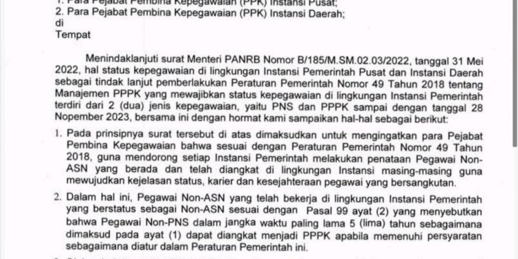 Kementerian PANRB Lakukan Pendataan Pegawai Non ASN di Lingkungan Instansi Pemerintah