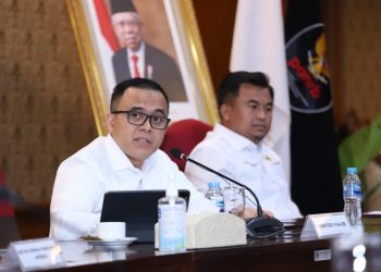 Menteri PANRB Ajak Pemda Percepat Validasi Data Tenaga Non-ASN 