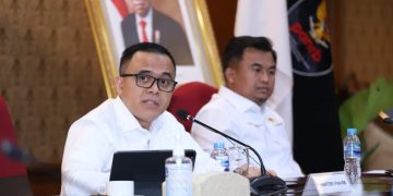 Menteri PANRB Ajak Pemda Percepat Validasi Data Tenaga Non-ASN 