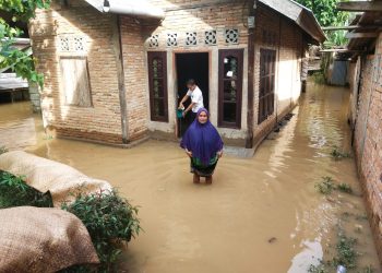 Terdampak Banjir, Warga Desa Sungai Ulak Merangin Harapkan Bantuan Dari Pemda