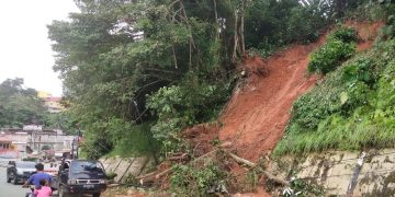 Khawatir Longsor Susulan dan Pohon Tumbang Lagi di Bukit Tiung Merangin, Pengendara Minta Segera Dilakukan Pembenahan