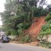 Khawatir Longsor Susulan dan Pohon Tumbang Lagi di Bukit Tiung Merangin, Pengendara Minta Segera Dilakukan Pembenahan