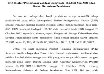 BKN Minta PPK Instansi Validasi Ulang Data 152.803 Non-ASN Tidak Sesuai Ketentuan Pendataan