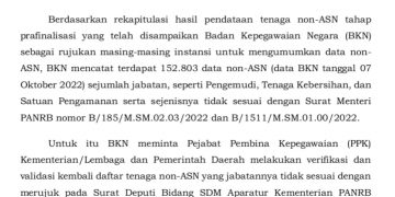 BKN Minta PPK Instansi Validasi Ulang Data 152.803 Non-ASN Tidak Sesuai Ketentuan Pendataan