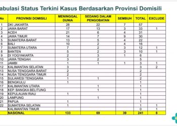 241 Kasus Gangguan Ginjal Akut Pada Anak di Indonesia, 1 Kasus di Jambi Meninggal Dunia