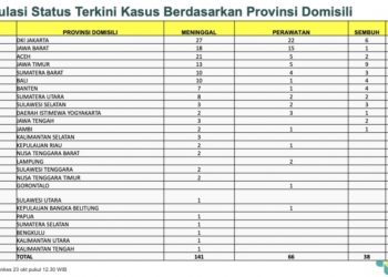Gangguan Ginjal Akut Pada Anak Bertambah Menjadi 245 Kasus di 26 Provinsi, 4 Kasus Ada di Jambi