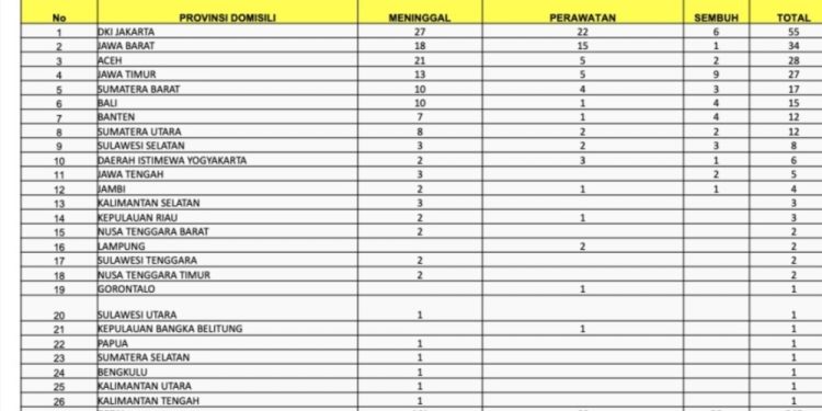 Gangguan Ginjal Akut Pada Anak Bertambah Menjadi 245 Kasus di 26 Provinsi, 4 Kasus Ada di Jambi