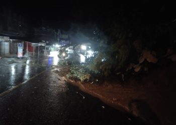 Diguyur Hujan Deras, Pohon Roboh dan Tanah Longsor Dari Tebing Bukit Tiung Bangko Ke Tengah Jalan