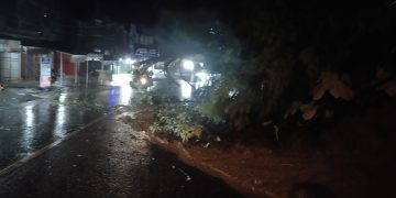 Diguyur Hujan Deras, Pohon Roboh dan Tanah Longsor Dari Tebing Bukit Tiung Bangko Ke Tengah Jalan