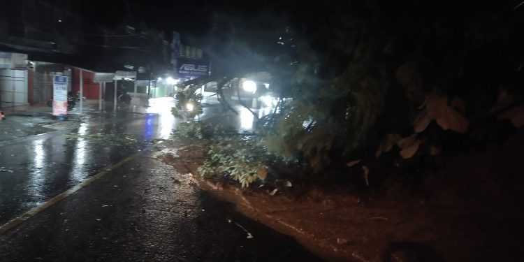 Diguyur Hujan Deras, Pohon Roboh dan Tanah Longsor Dari Tebing Bukit Tiung Bangko Ke Tengah Jalan