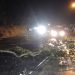 Hujan Belum Reda, Pohon Kembali Roboh ke Tengah Jalan ditempat Yang Sama di Tebing Bukit Tiung Bangko