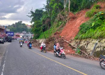 Potongan Pohon Tumbang dan Tanah Longsor di Bukit Tiung Belum Dibersihkan, Pengendara dan Ketua RT Minta  Segera Dibersihkan 