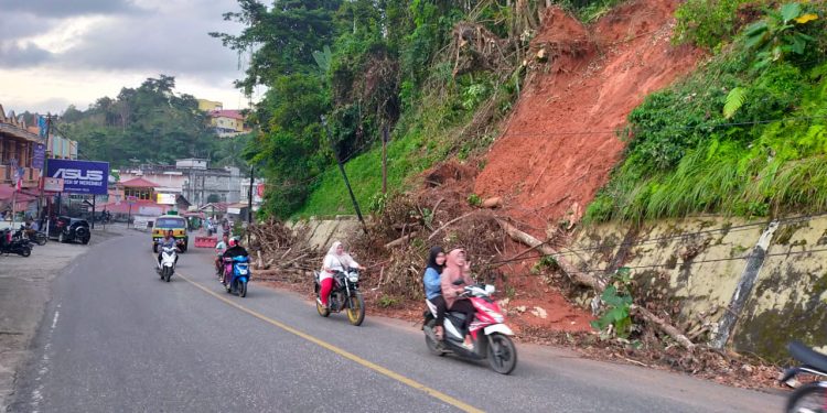 Potongan Pohon Tumbang dan Tanah Longsor di Bukit Tiung Belum Dibersihkan, Pengendara dan Ketua RT Minta  Segera Dibersihkan 