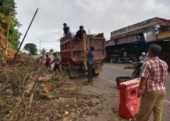 Dinas LH Merangin Respon Cepat Keluhan Pengendara Terkait Potongan Pohon Tumbang dan Tanah Longsor di Bukit Tiung