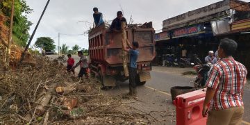 Dinas LH Merangin Respon Cepat Keluhan Pengendara Terkait Potongan Pohon Tumbang dan Tanah Longsor di Bukit Tiung